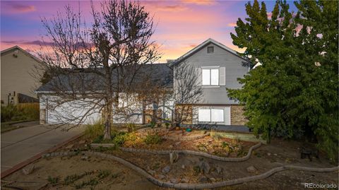 9858 Monroe Street Thornton CO 80229