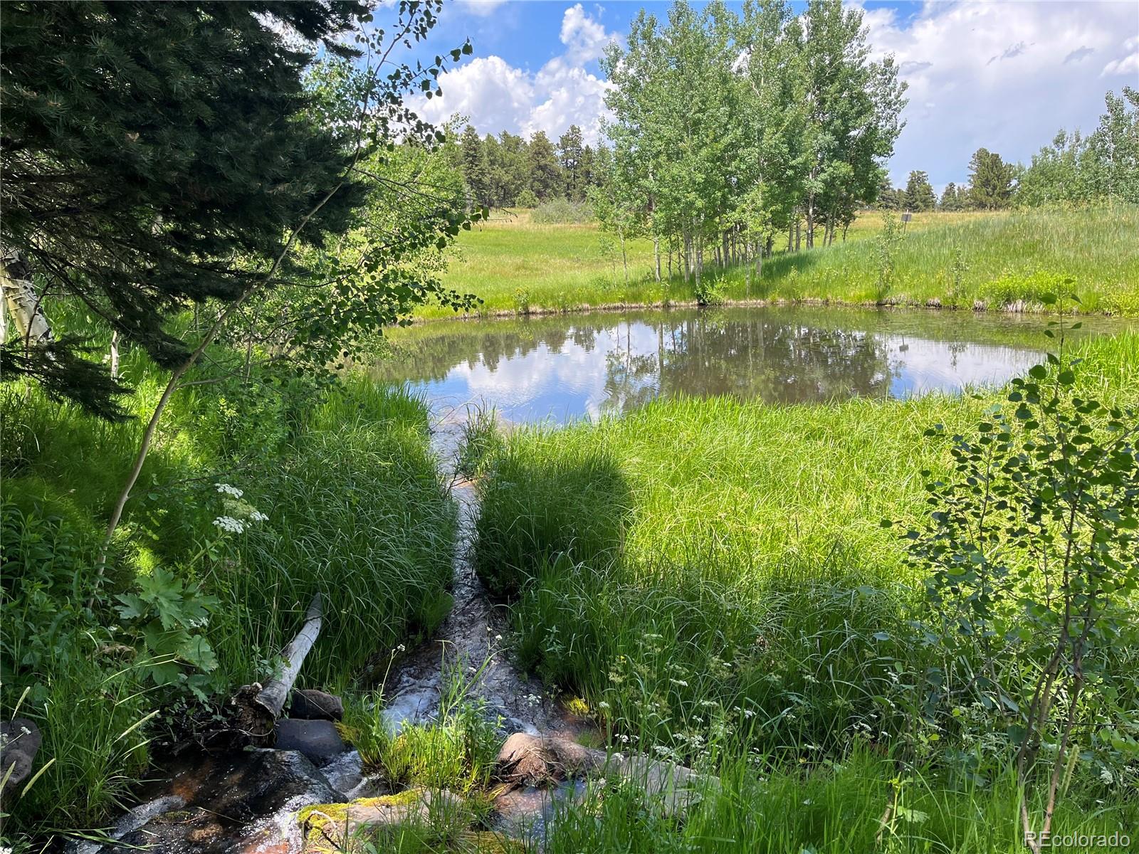 723 Chalice Drive, Westcliffe, CO, 81252 2 723 Chalice Drive
