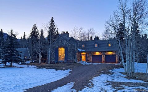 723 Chalice Drive Westcliffe CO 81252