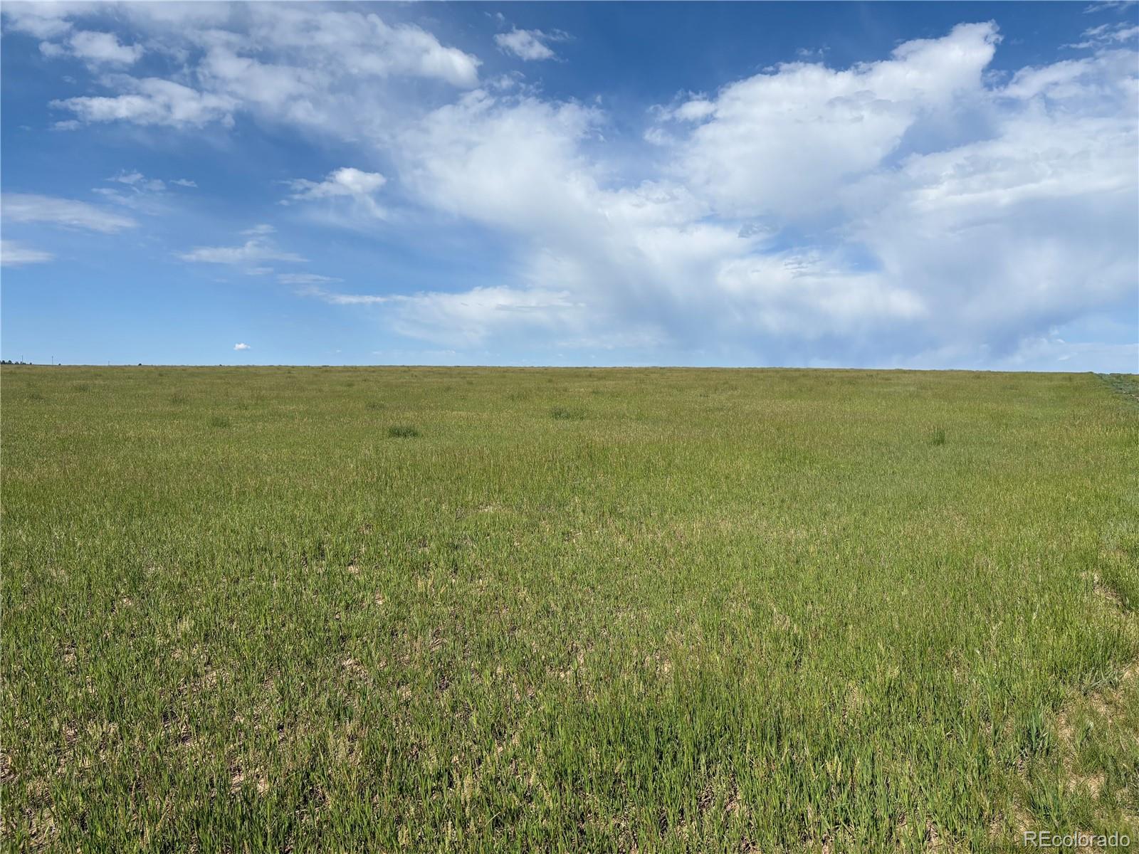 Lot 4 Parcel 4 County Road 33
