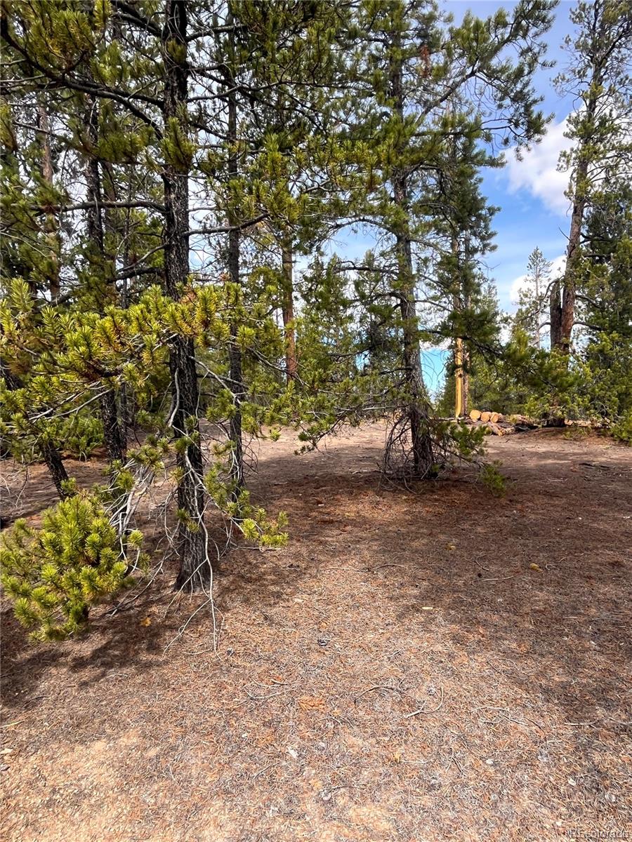 105 Fir Drive