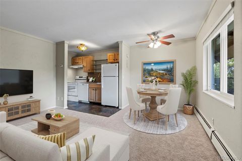 301 N French Street 303 Breckenridge CO 80424