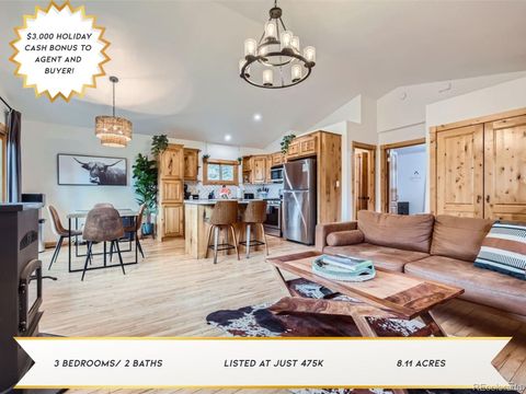 Photo of 1978 High Chateau Rd. Road, Florissant, CO 80816 (MLS # 8805926)