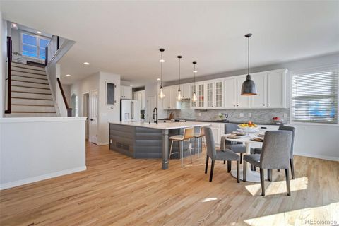 3975 Brushwood Way Castle Rock CO 80109