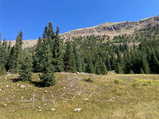 4400 4TH OF JULY RD, NEDERLAND, CO 80466 - Image 859ccf142e553e488c995e340f5537c1/3325479225