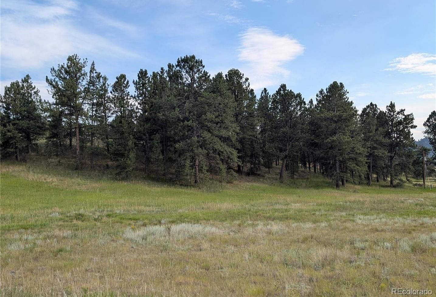 Photo 1 of 11 — 1379 S Mountain Estates Road, Florissant, CO 80816