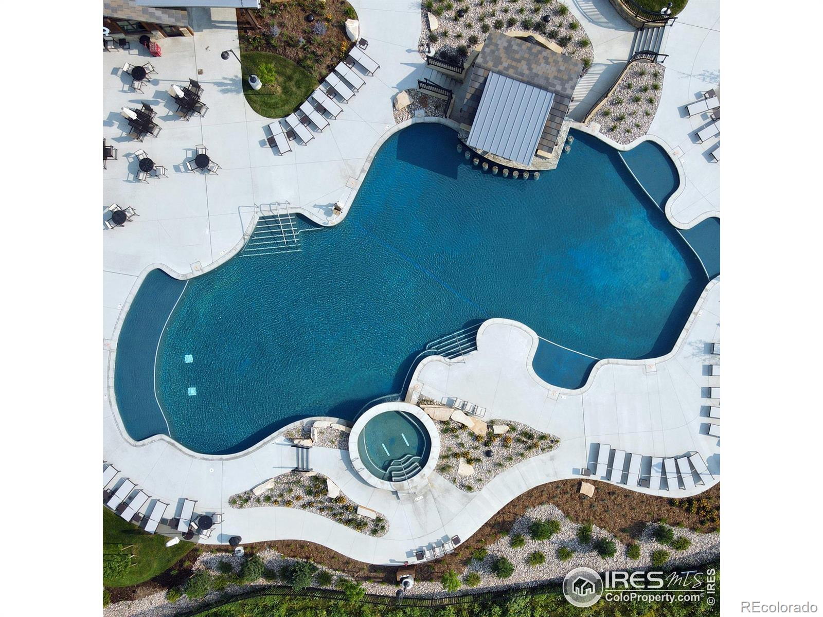 1568 Harebell Street