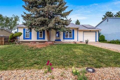 10007 Bryant Street Denver CO 80260