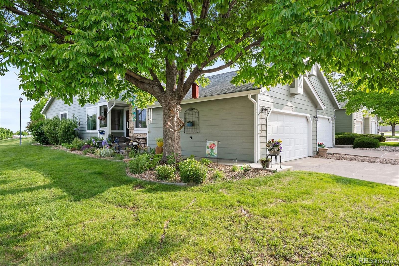 7 Shetland Court