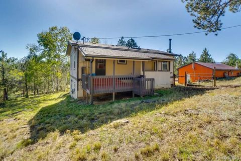 Photo of 354 Doe Circle, Bailey, CO 80421 (MLS # 9250218)