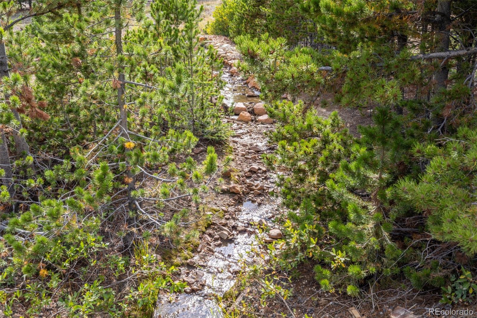 Beaver Road