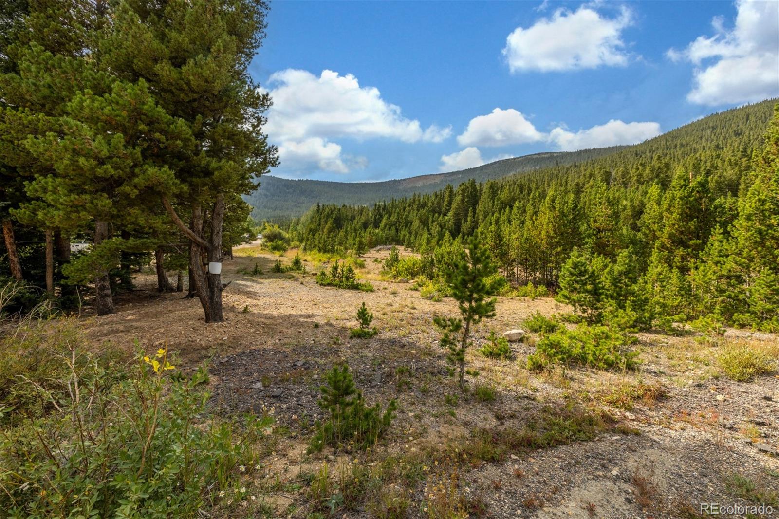 Beaver Road