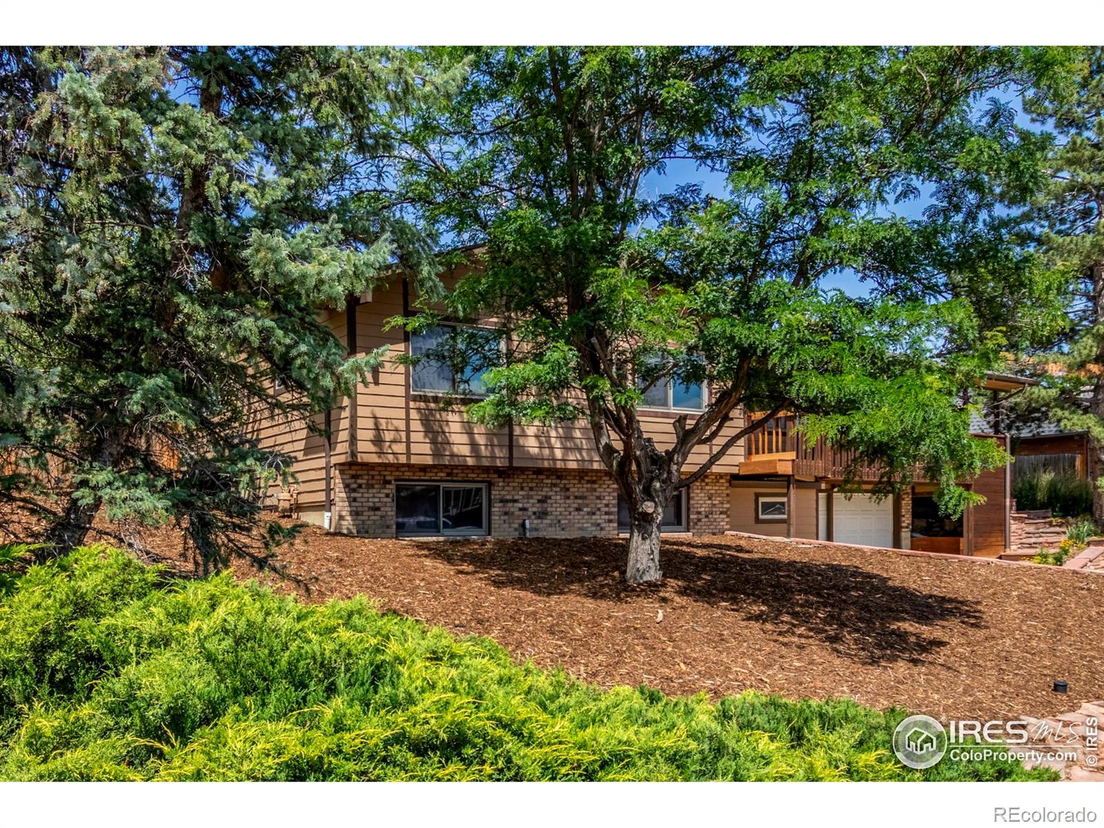 1148 Purdue Drive, Longmont, CO, 80503 3 1148 Purdue Drive