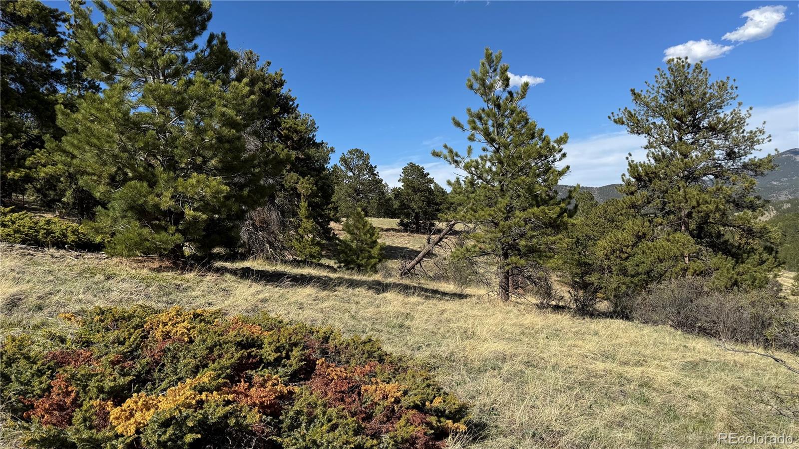 005 Church Placer Road