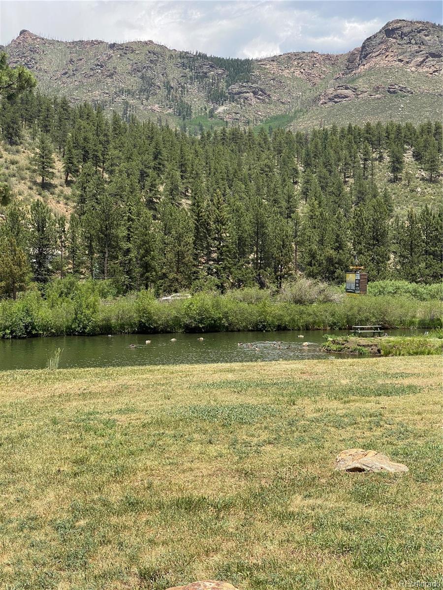 57920 US Highway 285 23/24, Bailey, CO, 80421 3 57920 US Highway 285 23/24