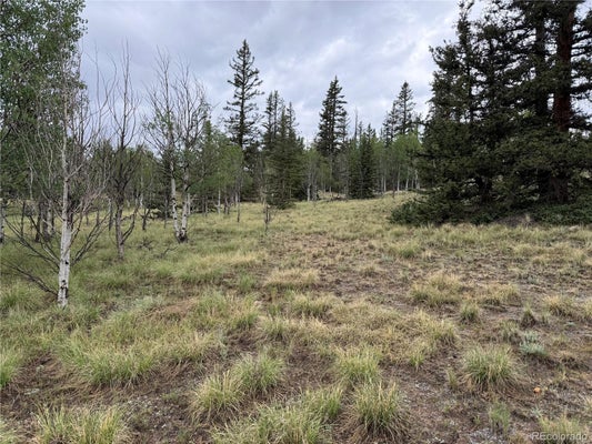 383 SPEARPOINT RD, COMO, CO 80432 - Image 8692bba992d692255cf5d44bcedd6f2f/48169356