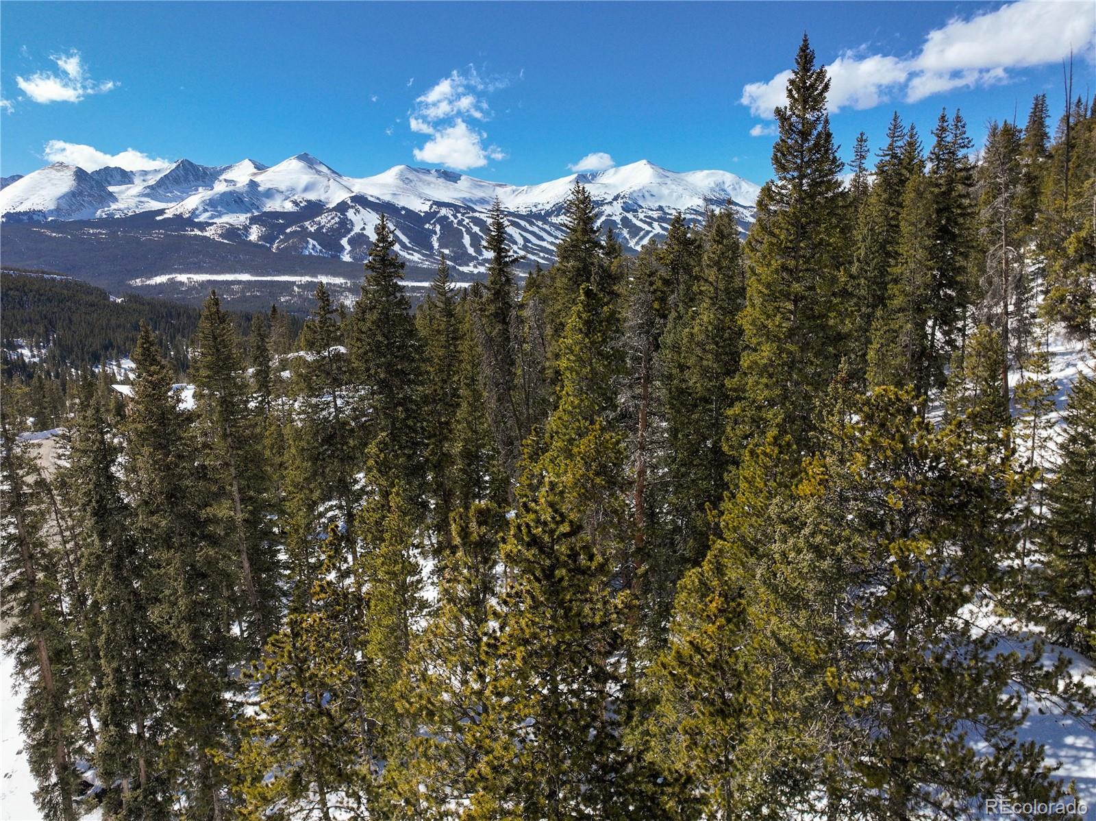 217 Goldenview Drive