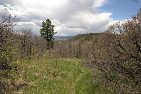 Unimproved Land in Castle Rock CO NA Valley Drive 3.jpg