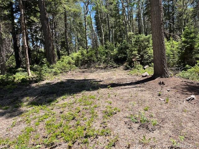 Lot 2449 Petito Drive
