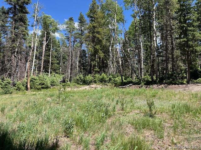 Lot 2449 Petito Drive