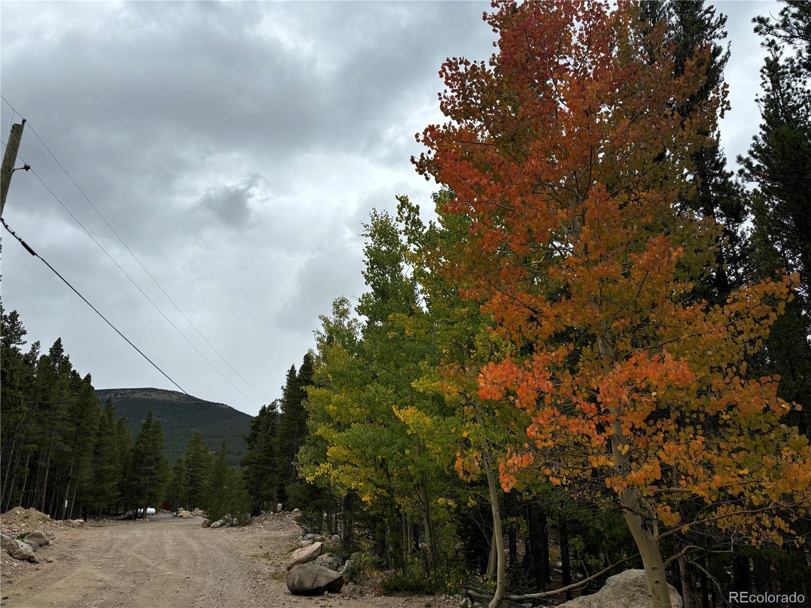 Silver Creek Road