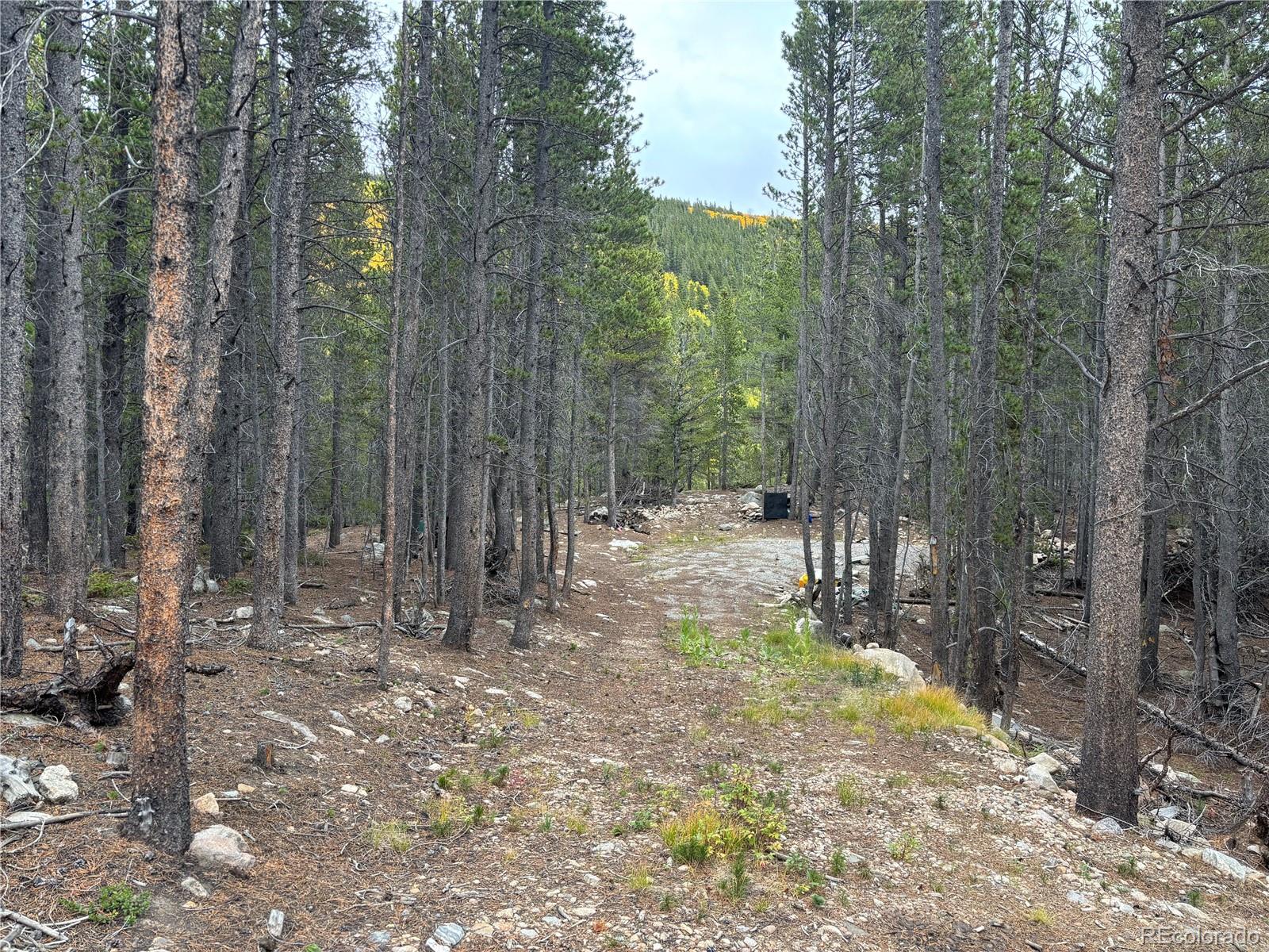 Silver Creek Road