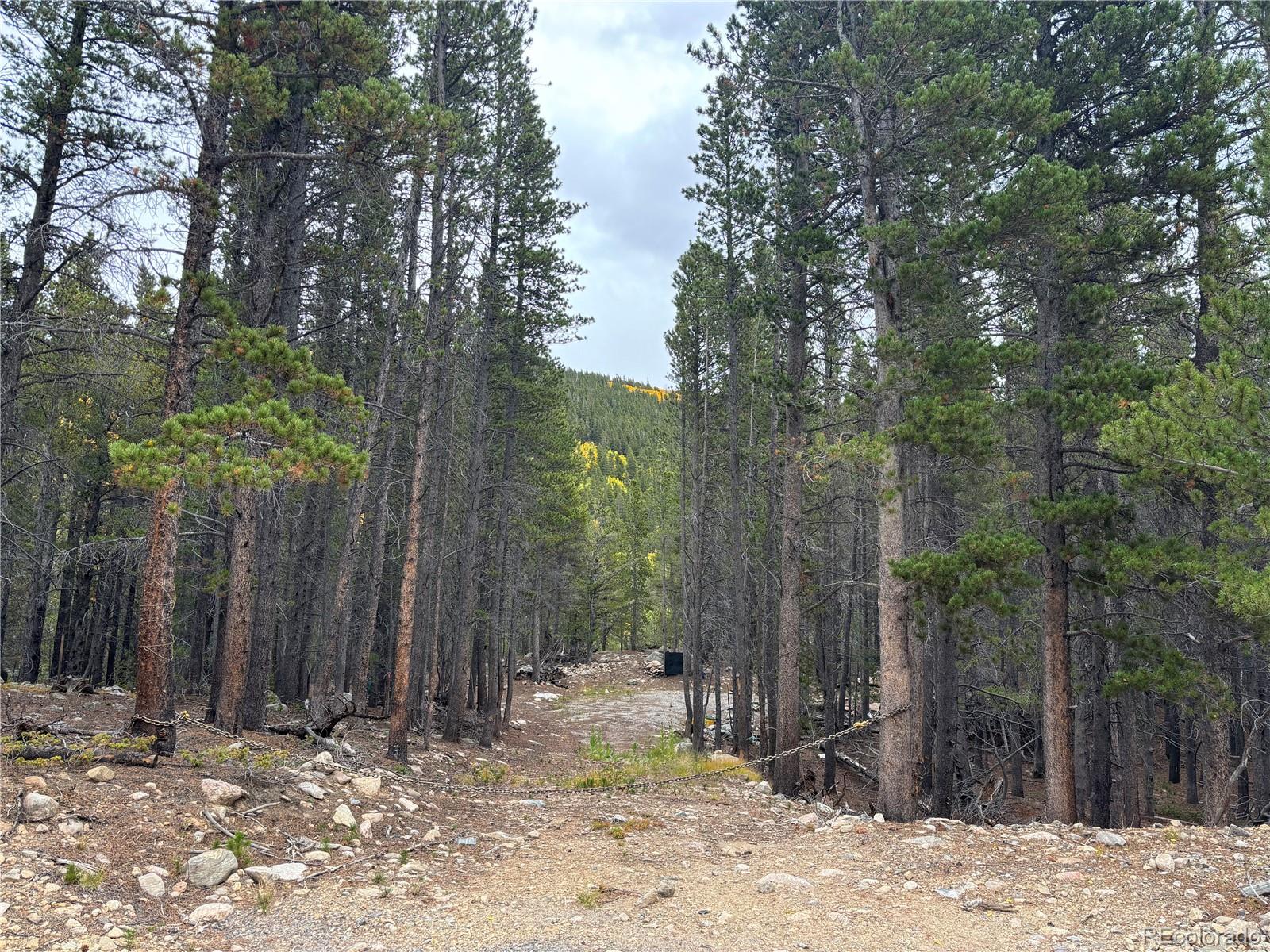 Silver Creek Road