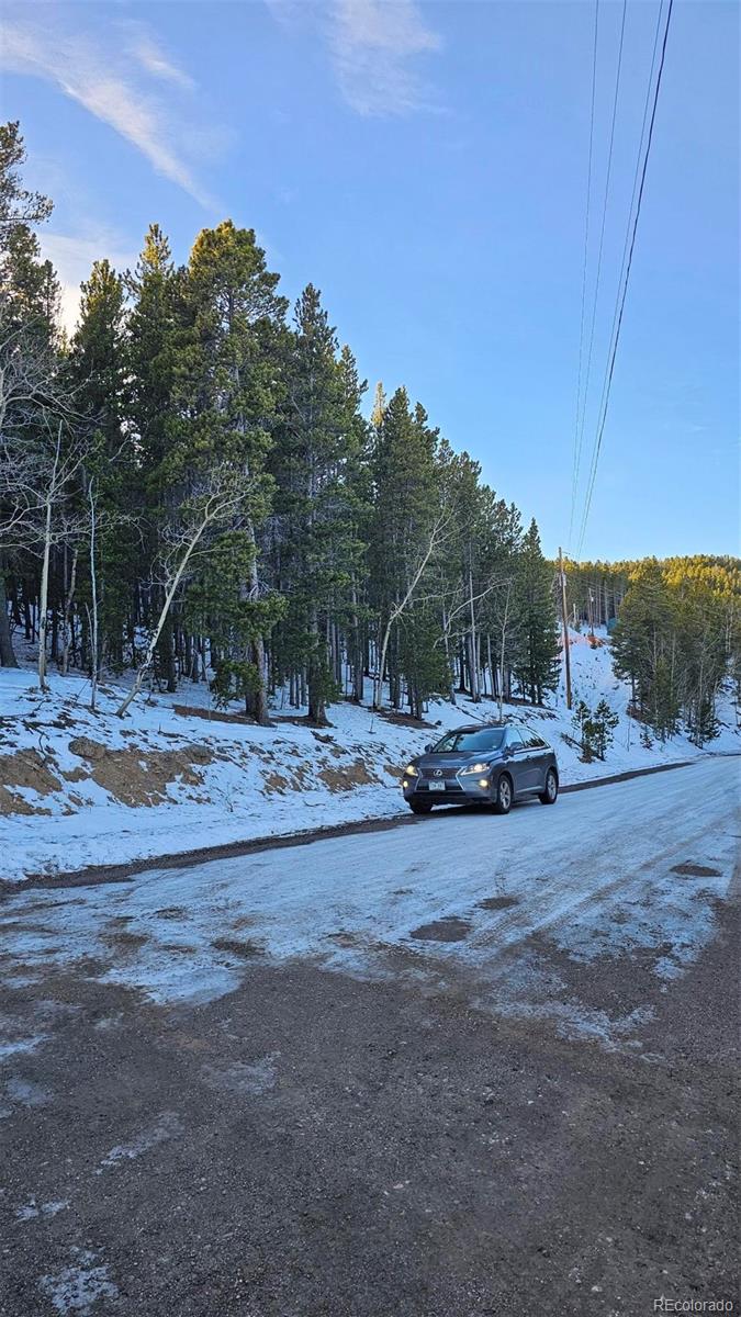 10857 Timothys Drive