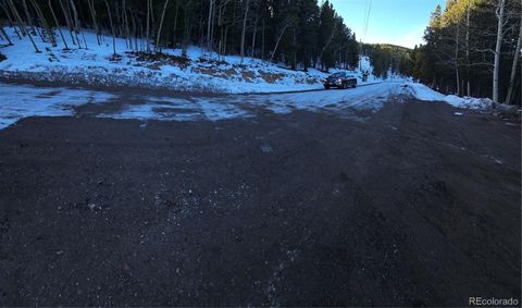 10857 Timothys Drive Conifer CO 80433