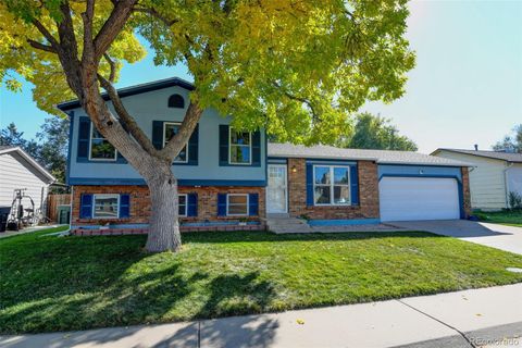 Photo of 11062 Fairfax Circle, Thornton, CO 80233 (MLS # 6701112)