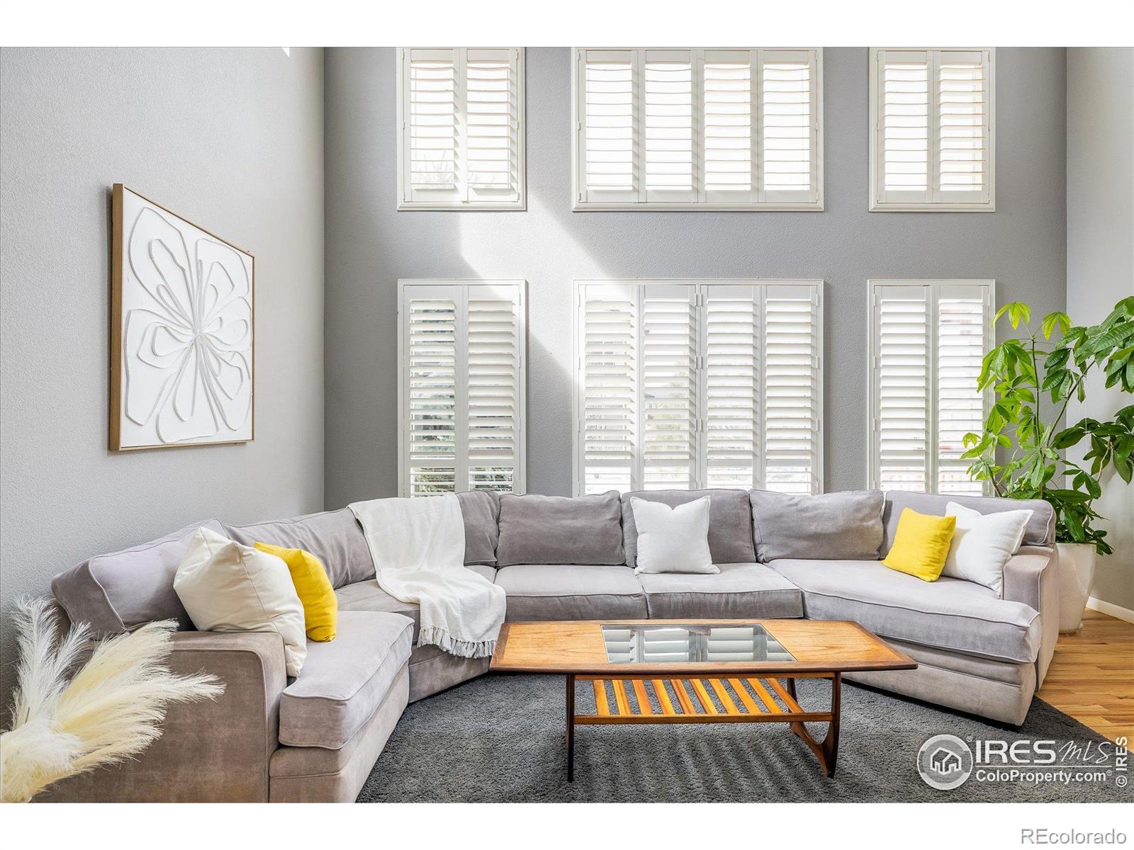 5001 Bella Vista Drive