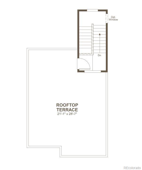 1233 Rhett Drive, Erie, CO, 80026 4 1233 Rhett Drive