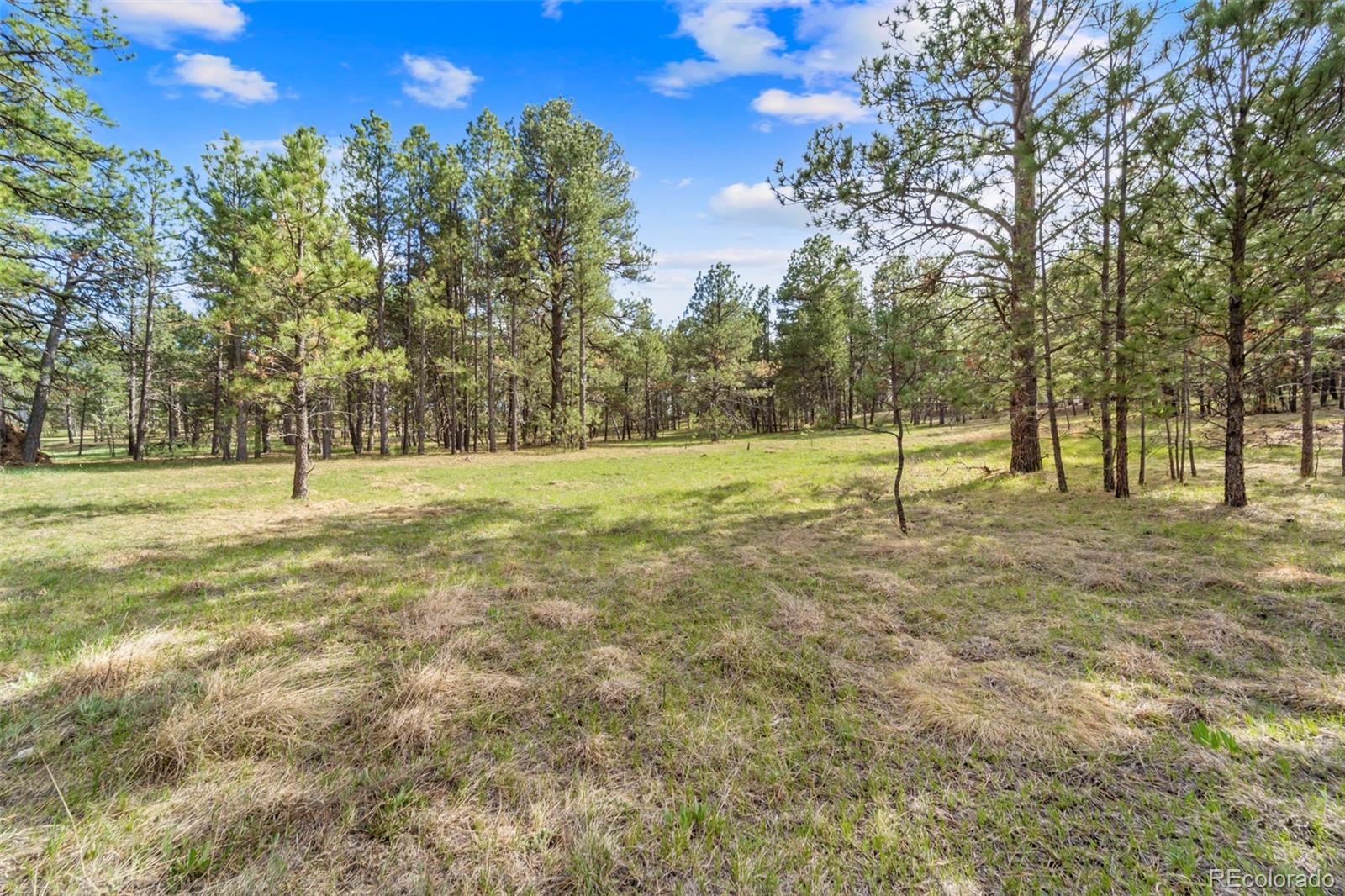 8395 Pine Cone Road
