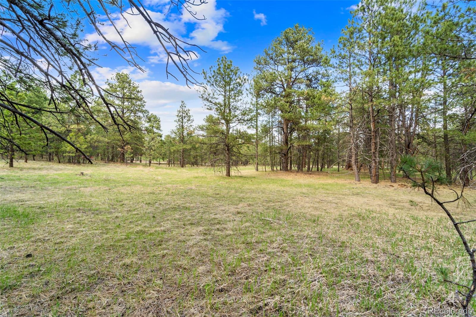 8395 Pine Cone Road
