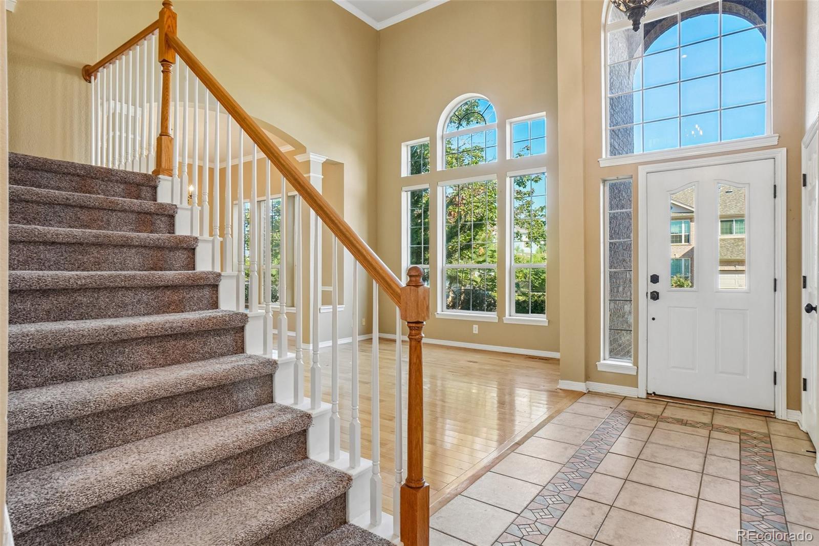 465 Whitetail Circle