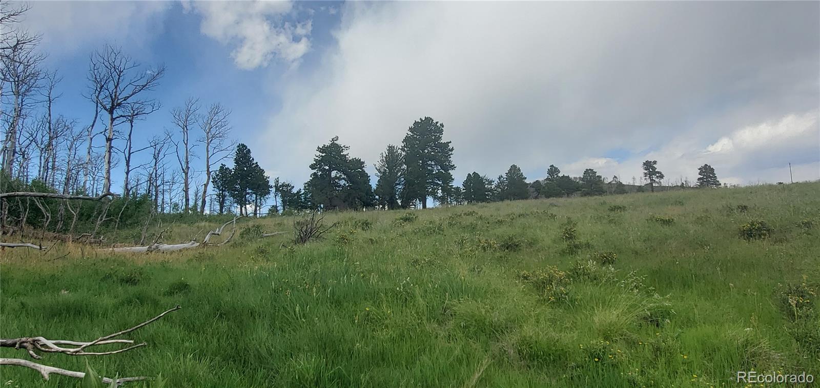 Lot 1720 Fitts Place