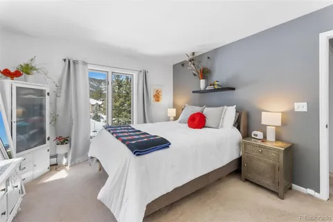 31270 John Wallace Road Unit 309, Evergreen, CO 80439 - #: 8606796