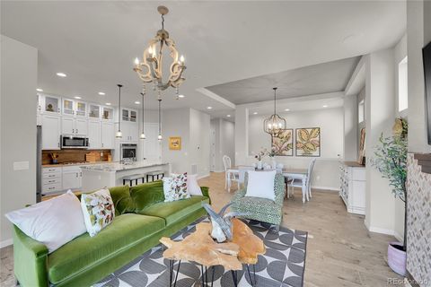 3429 Goodyear Street Castle Rock CO 80109