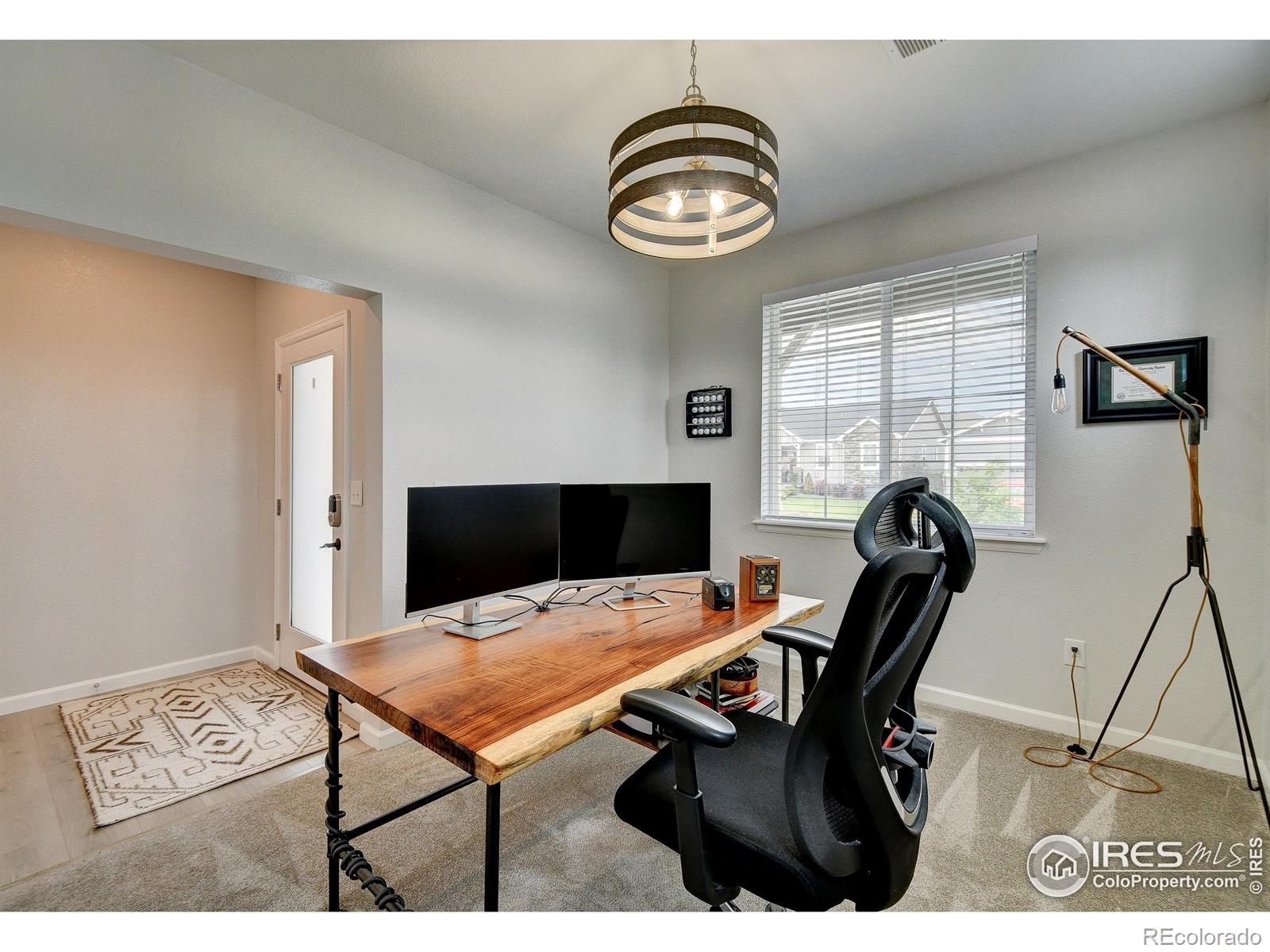 1723 Branching Canopy Drive