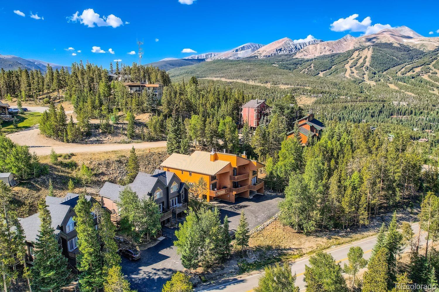 1682 Boreas Pass Road C