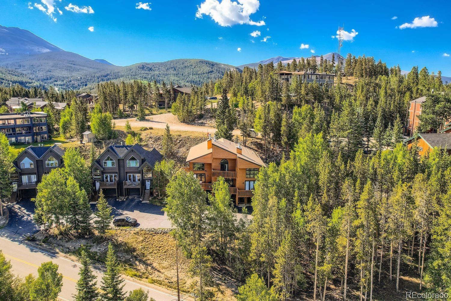 1682 Boreas Pass Road C