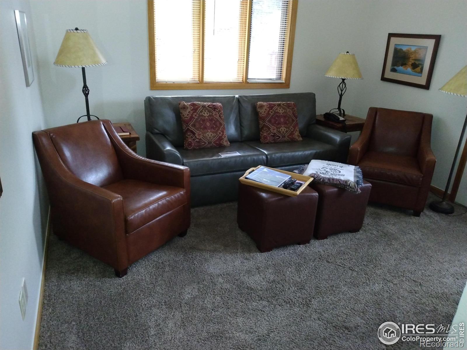 1565 Highway 66 #28, Estes Park, CO, 80517 3 1565 Highway 66 #28
