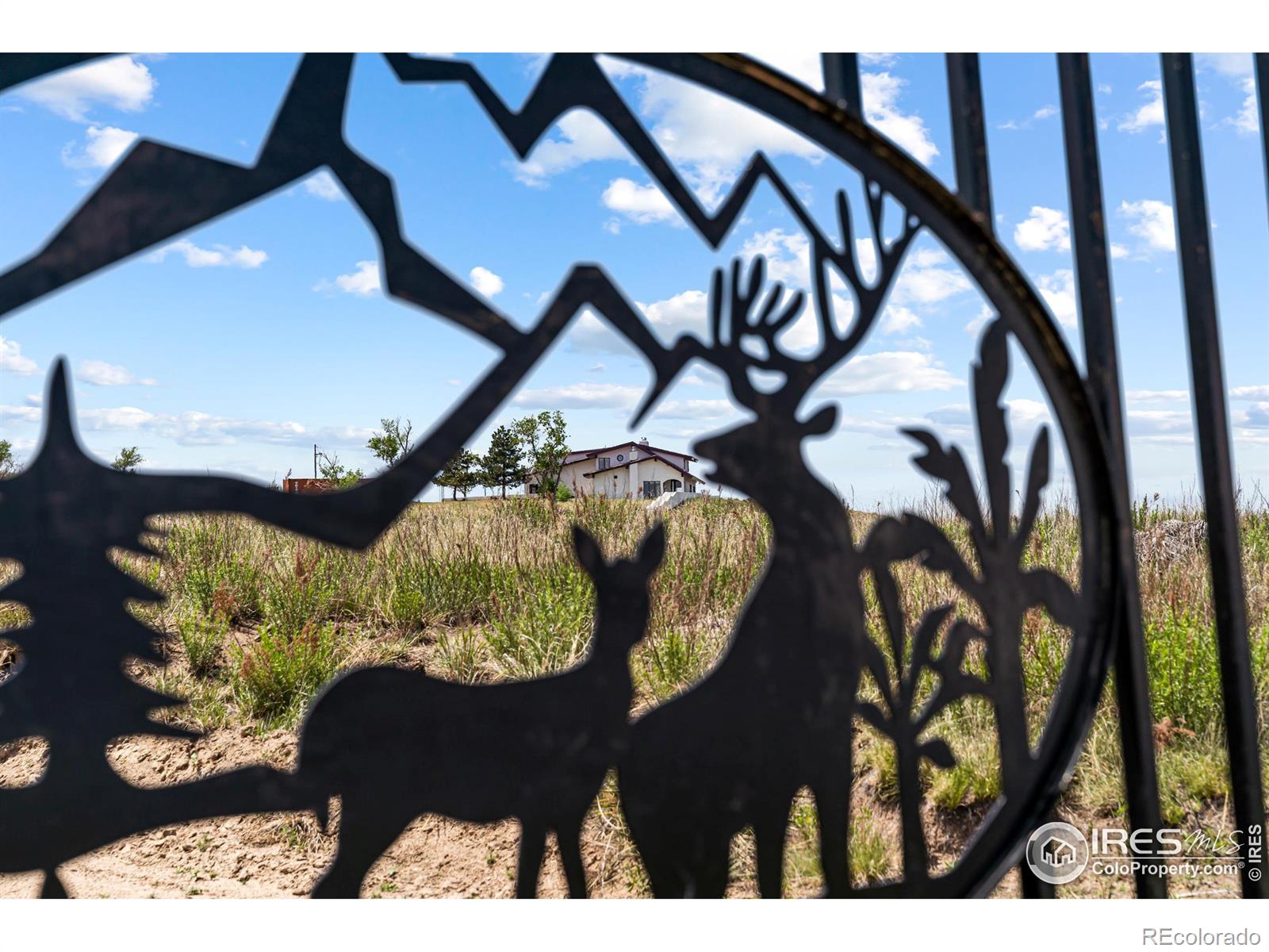 14975 US Highway 385