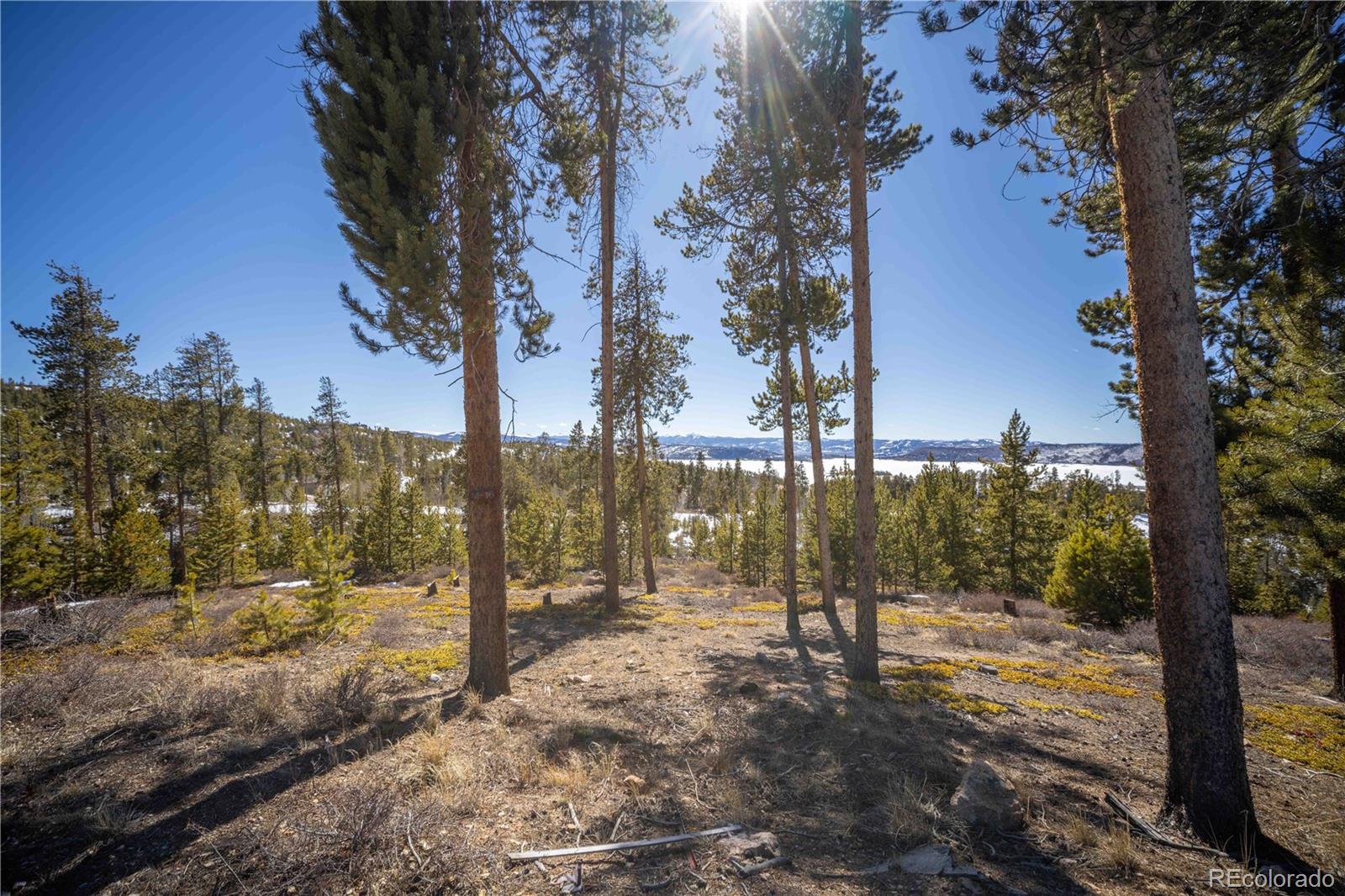 1384 Rocky Mountain Drive