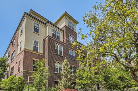 1623 Saint Paul Street 310 Denver CO 80206