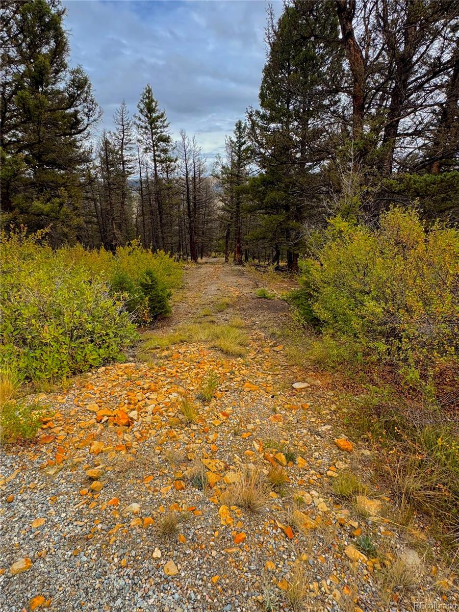 000 Middlefork Vista