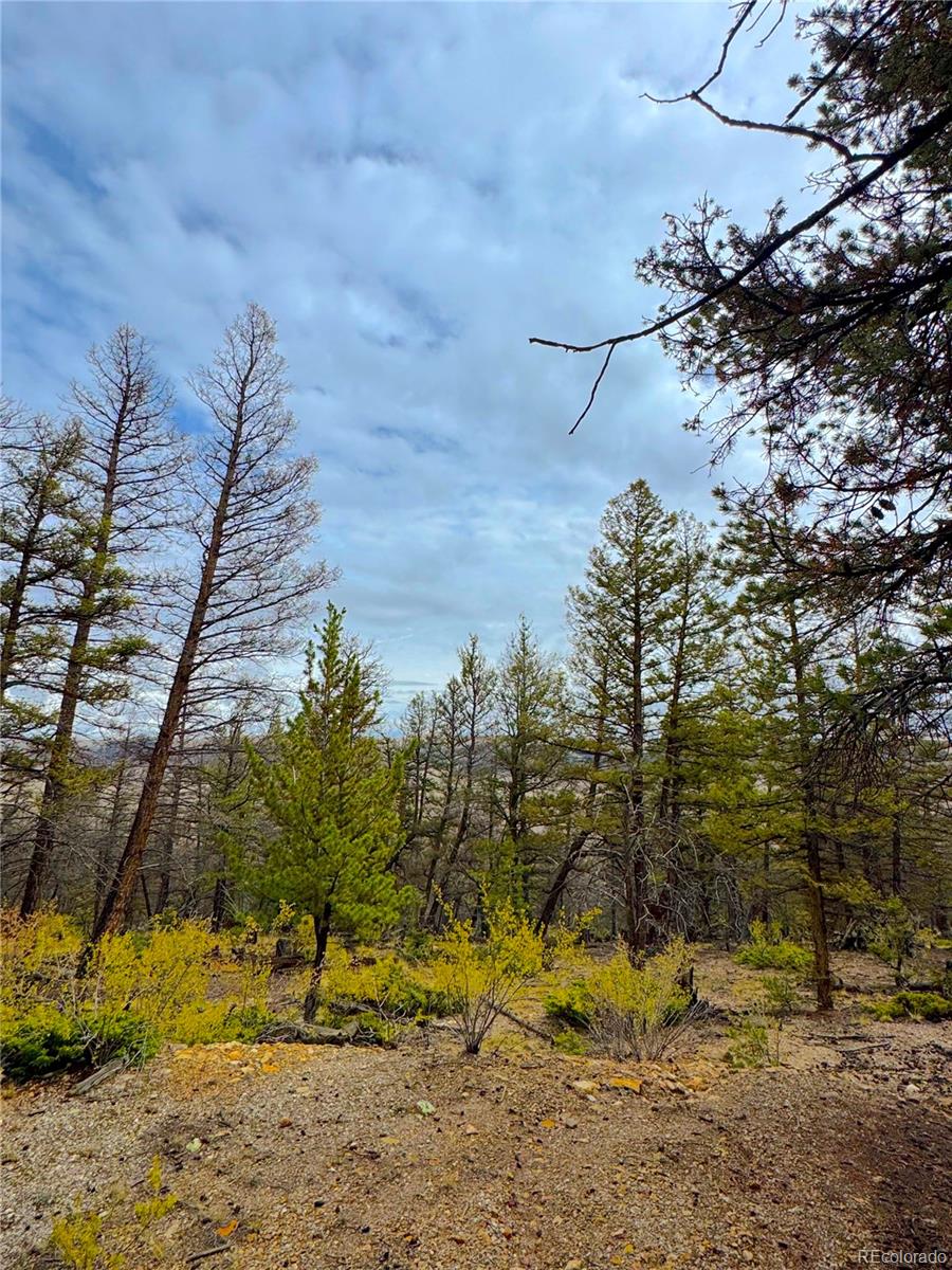 000 Middlefork Vista