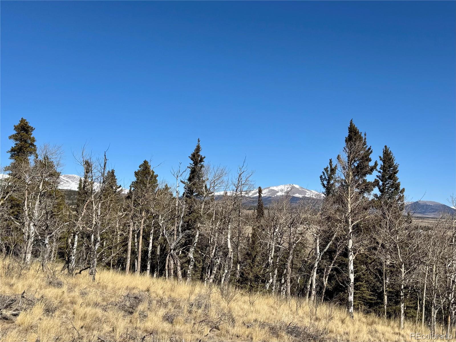 1872 High Creek Road