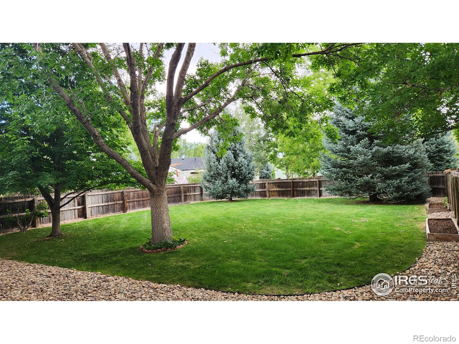 1696 Bain Drive, Erie, CO, 80516 2 1696 Bain Drive