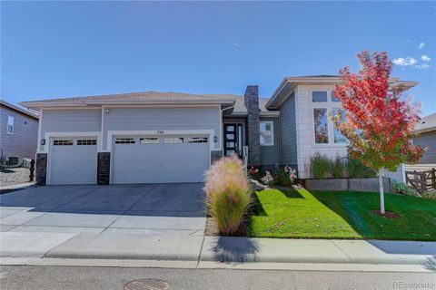 734 Alumroot Street Castle Rock CO 80104